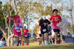 BIB: 
                            <button type="button" onclick="openModal(26188765)" class="btn btn-primary btn-sm float-right btn-popup" data-toggle="modal" data-target=".modal-high-quality">
                        <i class="fas fa-shopping-cart"></i> Add to Cart
                    </button>
                                            <button type="button" onclick="isThisMe(26188765, true)" class="btn btn-success btn-sm float-right btn-popup btn-isme hidden" data-toggle="tooltip" data-placement="bottom" title="นี่คือรูปของคุณใช่ไหม คลิกที่นี่เพื่อเอาเข้าอัลบั้ม">
                        <i class="fas fa-plus"></i> Add to album
                    </button>
                    <button type="button" onclick="isThisMe(26188765, false)" class="btn btn-warning btn-sm float-right btn-popup btn-isnotme hidden">
                        <i class="fas fa-ban"></i> Remove from album
                    </button>