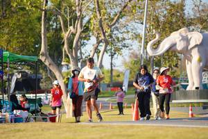 BIB: 
                            <button type="button" onclick="openModal(26187999)" class="btn btn-primary btn-sm float-right btn-popup" data-toggle="modal" data-target=".modal-high-quality">
                        <i class="fas fa-shopping-cart"></i> Add to Cart
                    </button>
                                            <button type="button" onclick="isThisMe(26187999, true)" class="btn btn-success btn-sm float-right btn-popup btn-isme hidden" data-toggle="tooltip" data-placement="bottom" title="นี่คือรูปของคุณใช่ไหม คลิกที่นี่เพื่อเอาเข้าอัลบั้ม">
                        <i class="fas fa-plus"></i> Add to album
                    </button>
                    <button type="button" onclick="isThisMe(26187999, false)" class="btn btn-warning btn-sm float-right btn-popup btn-isnotme hidden">
                        <i class="fas fa-ban"></i> Remove from album
                    </button>