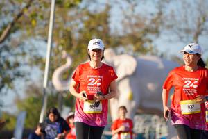 BIB: 
                            <button type="button" onclick="openModal(26187989)" class="btn btn-primary btn-sm float-right btn-popup" data-toggle="modal" data-target=".modal-high-quality">
                        <i class="fas fa-shopping-cart"></i> Add to Cart
                    </button>
                                            <button type="button" onclick="isThisMe(26187989, true)" class="btn btn-success btn-sm float-right btn-popup btn-isme hidden" data-toggle="tooltip" data-placement="bottom" title="นี่คือรูปของคุณใช่ไหม คลิกที่นี่เพื่อเอาเข้าอัลบั้ม">
                        <i class="fas fa-plus"></i> Add to album
                    </button>
                    <button type="button" onclick="isThisMe(26187989, false)" class="btn btn-warning btn-sm float-right btn-popup btn-isnotme hidden">
                        <i class="fas fa-ban"></i> Remove from album
                    </button>