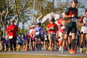 BIB: 
                            <button type="button" onclick="openModal(26187625)" class="btn btn-primary btn-sm float-right btn-popup" data-toggle="modal" data-target=".modal-high-quality">
                        <i class="fas fa-shopping-cart"></i> Add to Cart
                    </button>
                                            <button type="button" onclick="isThisMe(26187625, true)" class="btn btn-success btn-sm float-right btn-popup btn-isme hidden" data-toggle="tooltip" data-placement="bottom" title="นี่คือรูปของคุณใช่ไหม คลิกที่นี่เพื่อเอาเข้าอัลบั้ม">
                        <i class="fas fa-plus"></i> Add to album
                    </button>
                    <button type="button" onclick="isThisMe(26187625, false)" class="btn btn-warning btn-sm float-right btn-popup btn-isnotme hidden">
                        <i class="fas fa-ban"></i> Remove from album
                    </button>