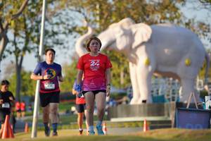 BIB: 
                            <button type="button" onclick="openModal(26188823)" class="btn btn-primary btn-sm float-right btn-popup" data-toggle="modal" data-target=".modal-high-quality">
                        <i class="fas fa-shopping-cart"></i> Add to Cart
                    </button>
                                            <button type="button" onclick="isThisMe(26188823, true)" class="btn btn-success btn-sm float-right btn-popup btn-isme hidden" data-toggle="tooltip" data-placement="bottom" title="นี่คือรูปของคุณใช่ไหม คลิกที่นี่เพื่อเอาเข้าอัลบั้ม">
                        <i class="fas fa-plus"></i> Add to album
                    </button>
                    <button type="button" onclick="isThisMe(26188823, false)" class="btn btn-warning btn-sm float-right btn-popup btn-isnotme hidden">
                        <i class="fas fa-ban"></i> Remove from album
                    </button>