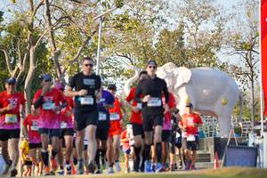 BIB: 
                            <button type="button" onclick="openModal(26188608)" class="btn btn-primary btn-sm float-right btn-popup" data-toggle="modal" data-target=".modal-high-quality">
                        <i class="fas fa-shopping-cart"></i> Add to Cart
                    </button>
                                            <button type="button" onclick="isThisMe(26188608, true)" class="btn btn-success btn-sm float-right btn-popup btn-isme hidden" data-toggle="tooltip" data-placement="bottom" title="นี่คือรูปของคุณใช่ไหม คลิกที่นี่เพื่อเอาเข้าอัลบั้ม">
                        <i class="fas fa-plus"></i> Add to album
                    </button>
                    <button type="button" onclick="isThisMe(26188608, false)" class="btn btn-warning btn-sm float-right btn-popup btn-isnotme hidden">
                        <i class="fas fa-ban"></i> Remove from album
                    </button>