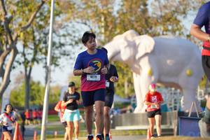 BIB: 
                            <button type="button" onclick="openModal(26188842)" class="btn btn-primary btn-sm float-right btn-popup" data-toggle="modal" data-target=".modal-high-quality">
                        <i class="fas fa-shopping-cart"></i> Add to Cart
                    </button>
                                            <button type="button" onclick="isThisMe(26188842, true)" class="btn btn-success btn-sm float-right btn-popup btn-isme hidden" data-toggle="tooltip" data-placement="bottom" title="นี่คือรูปของคุณใช่ไหม คลิกที่นี่เพื่อเอาเข้าอัลบั้ม">
                        <i class="fas fa-plus"></i> Add to album
                    </button>
                    <button type="button" onclick="isThisMe(26188842, false)" class="btn btn-warning btn-sm float-right btn-popup btn-isnotme hidden">
                        <i class="fas fa-ban"></i> Remove from album
                    </button>