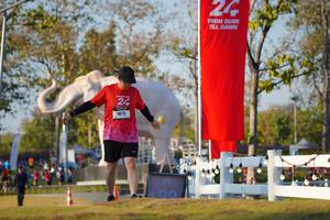 BIB: 
                            <button type="button" onclick="openModal(26188165)" class="btn btn-primary btn-sm float-right btn-popup" data-toggle="modal" data-target=".modal-high-quality">
                        <i class="fas fa-shopping-cart"></i> Add to Cart
                    </button>
                                            <button type="button" onclick="isThisMe(26188165, true)" class="btn btn-success btn-sm float-right btn-popup btn-isme hidden" data-toggle="tooltip" data-placement="bottom" title="นี่คือรูปของคุณใช่ไหม คลิกที่นี่เพื่อเอาเข้าอัลบั้ม">
                        <i class="fas fa-plus"></i> Add to album
                    </button>
                    <button type="button" onclick="isThisMe(26188165, false)" class="btn btn-warning btn-sm float-right btn-popup btn-isnotme hidden">
                        <i class="fas fa-ban"></i> Remove from album
                    </button>