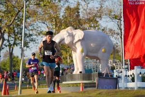 BIB: 
                            <button type="button" onclick="openModal(26188240)" class="btn btn-primary btn-sm float-right btn-popup" data-toggle="modal" data-target=".modal-high-quality">
                        <i class="fas fa-shopping-cart"></i> Add to Cart
                    </button>
                                            <button type="button" onclick="isThisMe(26188240, true)" class="btn btn-success btn-sm float-right btn-popup btn-isme hidden" data-toggle="tooltip" data-placement="bottom" title="นี่คือรูปของคุณใช่ไหม คลิกที่นี่เพื่อเอาเข้าอัลบั้ม">
                        <i class="fas fa-plus"></i> Add to album
                    </button>
                    <button type="button" onclick="isThisMe(26188240, false)" class="btn btn-warning btn-sm float-right btn-popup btn-isnotme hidden">
                        <i class="fas fa-ban"></i> Remove from album
                    </button>