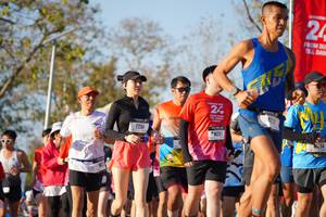 BIB: 
                            <button type="button" onclick="openModal(26187741)" class="btn btn-primary btn-sm float-right btn-popup" data-toggle="modal" data-target=".modal-high-quality">
                        <i class="fas fa-shopping-cart"></i> Add to Cart
                    </button>
                                            <button type="button" onclick="isThisMe(26187741, true)" class="btn btn-success btn-sm float-right btn-popup btn-isme hidden" data-toggle="tooltip" data-placement="bottom" title="นี่คือรูปของคุณใช่ไหม คลิกที่นี่เพื่อเอาเข้าอัลบั้ม">
                        <i class="fas fa-plus"></i> Add to album
                    </button>
                    <button type="button" onclick="isThisMe(26187741, false)" class="btn btn-warning btn-sm float-right btn-popup btn-isnotme hidden">
                        <i class="fas fa-ban"></i> Remove from album
                    </button>