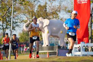 BIB: 
                            <button type="button" onclick="openModal(26188191)" class="btn btn-primary btn-sm float-right btn-popup" data-toggle="modal" data-target=".modal-high-quality">
                        <i class="fas fa-shopping-cart"></i> Add to Cart
                    </button>
                                            <button type="button" onclick="isThisMe(26188191, true)" class="btn btn-success btn-sm float-right btn-popup btn-isme hidden" data-toggle="tooltip" data-placement="bottom" title="นี่คือรูปของคุณใช่ไหม คลิกที่นี่เพื่อเอาเข้าอัลบั้ม">
                        <i class="fas fa-plus"></i> Add to album
                    </button>
                    <button type="button" onclick="isThisMe(26188191, false)" class="btn btn-warning btn-sm float-right btn-popup btn-isnotme hidden">
                        <i class="fas fa-ban"></i> Remove from album
                    </button>