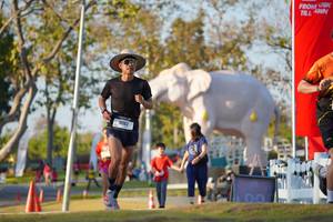 BIB: 
                            <button type="button" onclick="openModal(26188415)" class="btn btn-primary btn-sm float-right btn-popup" data-toggle="modal" data-target=".modal-high-quality">
                        <i class="fas fa-shopping-cart"></i> Add to Cart
                    </button>
                                            <button type="button" onclick="isThisMe(26188415, true)" class="btn btn-success btn-sm float-right btn-popup btn-isme hidden" data-toggle="tooltip" data-placement="bottom" title="นี่คือรูปของคุณใช่ไหม คลิกที่นี่เพื่อเอาเข้าอัลบั้ม">
                        <i class="fas fa-plus"></i> Add to album
                    </button>
                    <button type="button" onclick="isThisMe(26188415, false)" class="btn btn-warning btn-sm float-right btn-popup btn-isnotme hidden">
                        <i class="fas fa-ban"></i> Remove from album
                    </button>