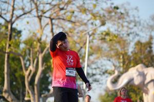 BIB: 
                            <button type="button" onclick="openModal(26188820)" class="btn btn-primary btn-sm float-right btn-popup" data-toggle="modal" data-target=".modal-high-quality">
                        <i class="fas fa-shopping-cart"></i> Add to Cart
                    </button>
                                            <button type="button" onclick="isThisMe(26188820, true)" class="btn btn-success btn-sm float-right btn-popup btn-isme hidden" data-toggle="tooltip" data-placement="bottom" title="นี่คือรูปของคุณใช่ไหม คลิกที่นี่เพื่อเอาเข้าอัลบั้ม">
                        <i class="fas fa-plus"></i> Add to album
                    </button>
                    <button type="button" onclick="isThisMe(26188820, false)" class="btn btn-warning btn-sm float-right btn-popup btn-isnotme hidden">
                        <i class="fas fa-ban"></i> Remove from album
                    </button>