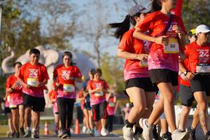 BIB: 
                            <button type="button" onclick="openModal(26187900)" class="btn btn-primary btn-sm float-right btn-popup" data-toggle="modal" data-target=".modal-high-quality">
                        <i class="fas fa-shopping-cart"></i> Add to Cart
                    </button>
                                            <button type="button" onclick="isThisMe(26187900, true)" class="btn btn-success btn-sm float-right btn-popup btn-isme hidden" data-toggle="tooltip" data-placement="bottom" title="นี่คือรูปของคุณใช่ไหม คลิกที่นี่เพื่อเอาเข้าอัลบั้ม">
                        <i class="fas fa-plus"></i> Add to album
                    </button>
                    <button type="button" onclick="isThisMe(26187900, false)" class="btn btn-warning btn-sm float-right btn-popup btn-isnotme hidden">
                        <i class="fas fa-ban"></i> Remove from album
                    </button>