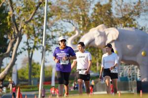 BIB: 
                            <button type="button" onclick="openModal(26188088)" class="btn btn-primary btn-sm float-right btn-popup" data-toggle="modal" data-target=".modal-high-quality">
                        <i class="fas fa-shopping-cart"></i> Add to Cart
                    </button>
                                            <button type="button" onclick="isThisMe(26188088, true)" class="btn btn-success btn-sm float-right btn-popup btn-isme hidden" data-toggle="tooltip" data-placement="bottom" title="นี่คือรูปของคุณใช่ไหม คลิกที่นี่เพื่อเอาเข้าอัลบั้ม">
                        <i class="fas fa-plus"></i> Add to album
                    </button>
                    <button type="button" onclick="isThisMe(26188088, false)" class="btn btn-warning btn-sm float-right btn-popup btn-isnotme hidden">
                        <i class="fas fa-ban"></i> Remove from album
                    </button>