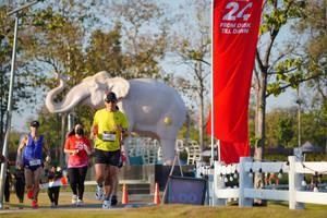 BIB: 
                            <button type="button" onclick="openModal(26188115)" class="btn btn-primary btn-sm float-right btn-popup" data-toggle="modal" data-target=".modal-high-quality">
                        <i class="fas fa-shopping-cart"></i> Add to Cart
                    </button>
                                            <button type="button" onclick="isThisMe(26188115, true)" class="btn btn-success btn-sm float-right btn-popup btn-isme hidden" data-toggle="tooltip" data-placement="bottom" title="นี่คือรูปของคุณใช่ไหม คลิกที่นี่เพื่อเอาเข้าอัลบั้ม">
                        <i class="fas fa-plus"></i> Add to album
                    </button>
                    <button type="button" onclick="isThisMe(26188115, false)" class="btn btn-warning btn-sm float-right btn-popup btn-isnotme hidden">
                        <i class="fas fa-ban"></i> Remove from album
                    </button>