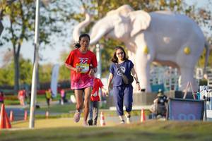 BIB: 
                            <button type="button" onclick="openModal(26188430)" class="btn btn-primary btn-sm float-right btn-popup" data-toggle="modal" data-target=".modal-high-quality">
                        <i class="fas fa-shopping-cart"></i> Add to Cart
                    </button>
                                            <button type="button" onclick="isThisMe(26188430, true)" class="btn btn-success btn-sm float-right btn-popup btn-isme hidden" data-toggle="tooltip" data-placement="bottom" title="นี่คือรูปของคุณใช่ไหม คลิกที่นี่เพื่อเอาเข้าอัลบั้ม">
                        <i class="fas fa-plus"></i> Add to album
                    </button>
                    <button type="button" onclick="isThisMe(26188430, false)" class="btn btn-warning btn-sm float-right btn-popup btn-isnotme hidden">
                        <i class="fas fa-ban"></i> Remove from album
                    </button>