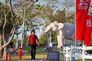 BIB: 
                            <button type="button" onclick="openModal(26188106)" class="btn btn-primary btn-sm float-right btn-popup" data-toggle="modal" data-target=".modal-high-quality">
                        <i class="fas fa-shopping-cart"></i> Add to Cart
                    </button>
                                            <button type="button" onclick="isThisMe(26188106, true)" class="btn btn-success btn-sm float-right btn-popup btn-isme hidden" data-toggle="tooltip" data-placement="bottom" title="นี่คือรูปของคุณใช่ไหม คลิกที่นี่เพื่อเอาเข้าอัลบั้ม">
                        <i class="fas fa-plus"></i> Add to album
                    </button>
                    <button type="button" onclick="isThisMe(26188106, false)" class="btn btn-warning btn-sm float-right btn-popup btn-isnotme hidden">
                        <i class="fas fa-ban"></i> Remove from album
                    </button>