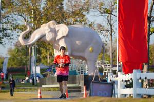 BIB: 
                            <button type="button" onclick="openModal(26188159)" class="btn btn-primary btn-sm float-right btn-popup" data-toggle="modal" data-target=".modal-high-quality">
                        <i class="fas fa-shopping-cart"></i> Add to Cart
                    </button>
                                            <button type="button" onclick="isThisMe(26188159, true)" class="btn btn-success btn-sm float-right btn-popup btn-isme hidden" data-toggle="tooltip" data-placement="bottom" title="นี่คือรูปของคุณใช่ไหม คลิกที่นี่เพื่อเอาเข้าอัลบั้ม">
                        <i class="fas fa-plus"></i> Add to album
                    </button>
                    <button type="button" onclick="isThisMe(26188159, false)" class="btn btn-warning btn-sm float-right btn-popup btn-isnotme hidden">
                        <i class="fas fa-ban"></i> Remove from album
                    </button>