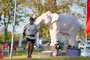 BIB: 
                            <button type="button" onclick="openModal(26188458)" class="btn btn-primary btn-sm float-right btn-popup" data-toggle="modal" data-target=".modal-high-quality">
                        <i class="fas fa-shopping-cart"></i> Add to Cart
                    </button>
                                            <button type="button" onclick="isThisMe(26188458, true)" class="btn btn-success btn-sm float-right btn-popup btn-isme hidden" data-toggle="tooltip" data-placement="bottom" title="นี่คือรูปของคุณใช่ไหม คลิกที่นี่เพื่อเอาเข้าอัลบั้ม">
                        <i class="fas fa-plus"></i> Add to album
                    </button>
                    <button type="button" onclick="isThisMe(26188458, false)" class="btn btn-warning btn-sm float-right btn-popup btn-isnotme hidden">
                        <i class="fas fa-ban"></i> Remove from album
                    </button>