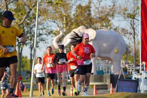 BIB: 
                            <button type="button" onclick="openModal(26188678)" class="btn btn-primary btn-sm float-right btn-popup" data-toggle="modal" data-target=".modal-high-quality">
                        <i class="fas fa-shopping-cart"></i> Add to Cart
                    </button>
                                            <button type="button" onclick="isThisMe(26188678, true)" class="btn btn-success btn-sm float-right btn-popup btn-isme hidden" data-toggle="tooltip" data-placement="bottom" title="นี่คือรูปของคุณใช่ไหม คลิกที่นี่เพื่อเอาเข้าอัลบั้ม">
                        <i class="fas fa-plus"></i> Add to album
                    </button>
                    <button type="button" onclick="isThisMe(26188678, false)" class="btn btn-warning btn-sm float-right btn-popup btn-isnotme hidden">
                        <i class="fas fa-ban"></i> Remove from album
                    </button>