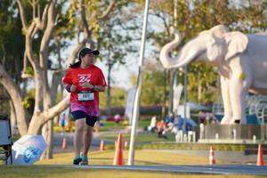 BIB: 
                            <button type="button" onclick="openModal(26189419)" class="btn btn-primary btn-sm float-right btn-popup" data-toggle="modal" data-target=".modal-high-quality">
                        <i class="fas fa-shopping-cart"></i> Add to Cart
                    </button>
                                            <button type="button" onclick="isThisMe(26189419, true)" class="btn btn-success btn-sm float-right btn-popup btn-isme hidden" data-toggle="tooltip" data-placement="bottom" title="นี่คือรูปของคุณใช่ไหม คลิกที่นี่เพื่อเอาเข้าอัลบั้ม">
                        <i class="fas fa-plus"></i> Add to album
                    </button>
                    <button type="button" onclick="isThisMe(26189419, false)" class="btn btn-warning btn-sm float-right btn-popup btn-isnotme hidden">
                        <i class="fas fa-ban"></i> Remove from album
                    </button>