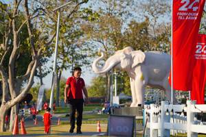 BIB: 
                            <button type="button" onclick="openModal(26188105)" class="btn btn-primary btn-sm float-right btn-popup" data-toggle="modal" data-target=".modal-high-quality">
                        <i class="fas fa-shopping-cart"></i> Add to Cart
                    </button>
                                            <button type="button" onclick="isThisMe(26188105, true)" class="btn btn-success btn-sm float-right btn-popup btn-isme hidden" data-toggle="tooltip" data-placement="bottom" title="นี่คือรูปของคุณใช่ไหม คลิกที่นี่เพื่อเอาเข้าอัลบั้ม">
                        <i class="fas fa-plus"></i> Add to album
                    </button>
                    <button type="button" onclick="isThisMe(26188105, false)" class="btn btn-warning btn-sm float-right btn-popup btn-isnotme hidden">
                        <i class="fas fa-ban"></i> Remove from album
                    </button>