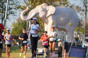 BIB: 
                            <button type="button" onclick="openModal(26188526)" class="btn btn-primary btn-sm float-right btn-popup" data-toggle="modal" data-target=".modal-high-quality">
                        <i class="fas fa-shopping-cart"></i> Add to Cart
                    </button>
                                            <button type="button" onclick="isThisMe(26188526, true)" class="btn btn-success btn-sm float-right btn-popup btn-isme hidden" data-toggle="tooltip" data-placement="bottom" title="นี่คือรูปของคุณใช่ไหม คลิกที่นี่เพื่อเอาเข้าอัลบั้ม">
                        <i class="fas fa-plus"></i> Add to album
                    </button>
                    <button type="button" onclick="isThisMe(26188526, false)" class="btn btn-warning btn-sm float-right btn-popup btn-isnotme hidden">
                        <i class="fas fa-ban"></i> Remove from album
                    </button>