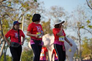 BIB: 
                            <button type="button" onclick="openModal(26189258)" class="btn btn-primary btn-sm float-right btn-popup" data-toggle="modal" data-target=".modal-high-quality">
                        <i class="fas fa-shopping-cart"></i> Add to Cart
                    </button>
                                            <button type="button" onclick="isThisMe(26189258, true)" class="btn btn-success btn-sm float-right btn-popup btn-isme hidden" data-toggle="tooltip" data-placement="bottom" title="นี่คือรูปของคุณใช่ไหม คลิกที่นี่เพื่อเอาเข้าอัลบั้ม">
                        <i class="fas fa-plus"></i> Add to album
                    </button>
                    <button type="button" onclick="isThisMe(26189258, false)" class="btn btn-warning btn-sm float-right btn-popup btn-isnotme hidden">
                        <i class="fas fa-ban"></i> Remove from album
                    </button>