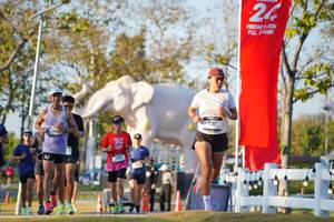 BIB: 
                            <button type="button" onclick="openModal(26188549)" class="btn btn-primary btn-sm float-right btn-popup" data-toggle="modal" data-target=".modal-high-quality">
                        <i class="fas fa-shopping-cart"></i> Add to Cart
                    </button>
                                            <button type="button" onclick="isThisMe(26188549, true)" class="btn btn-success btn-sm float-right btn-popup btn-isme hidden" data-toggle="tooltip" data-placement="bottom" title="นี่คือรูปของคุณใช่ไหม คลิกที่นี่เพื่อเอาเข้าอัลบั้ม">
                        <i class="fas fa-plus"></i> Add to album
                    </button>
                    <button type="button" onclick="isThisMe(26188549, false)" class="btn btn-warning btn-sm float-right btn-popup btn-isnotme hidden">
                        <i class="fas fa-ban"></i> Remove from album
                    </button>