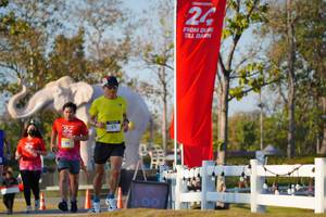 BIB: 
                            <button type="button" onclick="openModal(26188120)" class="btn btn-primary btn-sm float-right btn-popup" data-toggle="modal" data-target=".modal-high-quality">
                        <i class="fas fa-shopping-cart"></i> Add to Cart
                    </button>
                                            <button type="button" onclick="isThisMe(26188120, true)" class="btn btn-success btn-sm float-right btn-popup btn-isme hidden" data-toggle="tooltip" data-placement="bottom" title="นี่คือรูปของคุณใช่ไหม คลิกที่นี่เพื่อเอาเข้าอัลบั้ม">
                        <i class="fas fa-plus"></i> Add to album
                    </button>
                    <button type="button" onclick="isThisMe(26188120, false)" class="btn btn-warning btn-sm float-right btn-popup btn-isnotme hidden">
                        <i class="fas fa-ban"></i> Remove from album
                    </button>