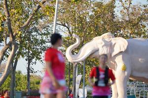 BIB: 
                            <button type="button" onclick="openModal(26189289)" class="btn btn-primary btn-sm float-right btn-popup" data-toggle="modal" data-target=".modal-high-quality">
                        <i class="fas fa-shopping-cart"></i> Add to Cart
                    </button>
                                            <button type="button" onclick="isThisMe(26189289, true)" class="btn btn-success btn-sm float-right btn-popup btn-isme hidden" data-toggle="tooltip" data-placement="bottom" title="นี่คือรูปของคุณใช่ไหม คลิกที่นี่เพื่อเอาเข้าอัลบั้ม">
                        <i class="fas fa-plus"></i> Add to album
                    </button>
                    <button type="button" onclick="isThisMe(26189289, false)" class="btn btn-warning btn-sm float-right btn-popup btn-isnotme hidden">
                        <i class="fas fa-ban"></i> Remove from album
                    </button>