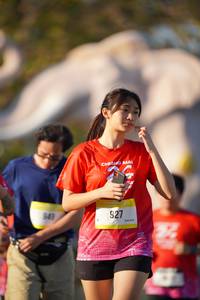 BIB: 
                            <button type="button" onclick="openModal(26188007)" class="btn btn-primary btn-sm float-right btn-popup" data-toggle="modal" data-target=".modal-high-quality">
                        <i class="fas fa-shopping-cart"></i> Add to Cart
                    </button>
                                            <button type="button" onclick="isThisMe(26188007, true)" class="btn btn-success btn-sm float-right btn-popup btn-isme hidden" data-toggle="tooltip" data-placement="bottom" title="นี่คือรูปของคุณใช่ไหม คลิกที่นี่เพื่อเอาเข้าอัลบั้ม">
                        <i class="fas fa-plus"></i> Add to album
                    </button>
                    <button type="button" onclick="isThisMe(26188007, false)" class="btn btn-warning btn-sm float-right btn-popup btn-isnotme hidden">
                        <i class="fas fa-ban"></i> Remove from album
                    </button>