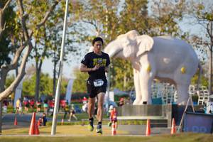 BIB: 
                            <button type="button" onclick="openModal(26188284)" class="btn btn-primary btn-sm float-right btn-popup" data-toggle="modal" data-target=".modal-high-quality">
                        <i class="fas fa-shopping-cart"></i> Add to Cart
                    </button>
                                            <button type="button" onclick="isThisMe(26188284, true)" class="btn btn-success btn-sm float-right btn-popup btn-isme hidden" data-toggle="tooltip" data-placement="bottom" title="นี่คือรูปของคุณใช่ไหม คลิกที่นี่เพื่อเอาเข้าอัลบั้ม">
                        <i class="fas fa-plus"></i> Add to album
                    </button>
                    <button type="button" onclick="isThisMe(26188284, false)" class="btn btn-warning btn-sm float-right btn-popup btn-isnotme hidden">
                        <i class="fas fa-ban"></i> Remove from album
                    </button>