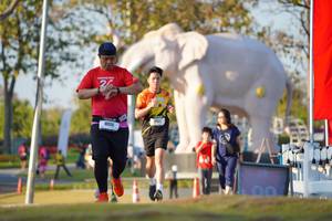 BIB: 
                            <button type="button" onclick="openModal(26188405)" class="btn btn-primary btn-sm float-right btn-popup" data-toggle="modal" data-target=".modal-high-quality">
                        <i class="fas fa-shopping-cart"></i> Add to Cart
                    </button>
                                            <button type="button" onclick="isThisMe(26188405, true)" class="btn btn-success btn-sm float-right btn-popup btn-isme hidden" data-toggle="tooltip" data-placement="bottom" title="นี่คือรูปของคุณใช่ไหม คลิกที่นี่เพื่อเอาเข้าอัลบั้ม">
                        <i class="fas fa-plus"></i> Add to album
                    </button>
                    <button type="button" onclick="isThisMe(26188405, false)" class="btn btn-warning btn-sm float-right btn-popup btn-isnotme hidden">
                        <i class="fas fa-ban"></i> Remove from album
                    </button>