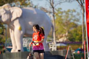 BIB: 
                            <button type="button" onclick="openModal(26188002)" class="btn btn-primary btn-sm float-right btn-popup" data-toggle="modal" data-target=".modal-high-quality">
                        <i class="fas fa-shopping-cart"></i> Add to Cart
                    </button>
                                            <button type="button" onclick="isThisMe(26188002, true)" class="btn btn-success btn-sm float-right btn-popup btn-isme hidden" data-toggle="tooltip" data-placement="bottom" title="นี่คือรูปของคุณใช่ไหม คลิกที่นี่เพื่อเอาเข้าอัลบั้ม">
                        <i class="fas fa-plus"></i> Add to album
                    </button>
                    <button type="button" onclick="isThisMe(26188002, false)" class="btn btn-warning btn-sm float-right btn-popup btn-isnotme hidden">
                        <i class="fas fa-ban"></i> Remove from album
                    </button>