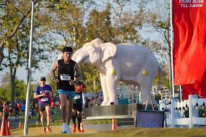 BIB: 
                            <button type="button" onclick="openModal(26188239)" class="btn btn-primary btn-sm float-right btn-popup" data-toggle="modal" data-target=".modal-high-quality">
                        <i class="fas fa-shopping-cart"></i> Add to Cart
                    </button>
                                            <button type="button" onclick="isThisMe(26188239, true)" class="btn btn-success btn-sm float-right btn-popup btn-isme hidden" data-toggle="tooltip" data-placement="bottom" title="นี่คือรูปของคุณใช่ไหม คลิกที่นี่เพื่อเอาเข้าอัลบั้ม">
                        <i class="fas fa-plus"></i> Add to album
                    </button>
                    <button type="button" onclick="isThisMe(26188239, false)" class="btn btn-warning btn-sm float-right btn-popup btn-isnotme hidden">
                        <i class="fas fa-ban"></i> Remove from album
                    </button>