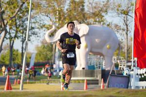 BIB: 
                            <button type="button" onclick="openModal(26188292)" class="btn btn-primary btn-sm float-right btn-popup" data-toggle="modal" data-target=".modal-high-quality">
                        <i class="fas fa-shopping-cart"></i> Add to Cart
                    </button>
                                            <button type="button" onclick="isThisMe(26188292, true)" class="btn btn-success btn-sm float-right btn-popup btn-isme hidden" data-toggle="tooltip" data-placement="bottom" title="นี่คือรูปของคุณใช่ไหม คลิกที่นี่เพื่อเอาเข้าอัลบั้ม">
                        <i class="fas fa-plus"></i> Add to album
                    </button>
                    <button type="button" onclick="isThisMe(26188292, false)" class="btn btn-warning btn-sm float-right btn-popup btn-isnotme hidden">
                        <i class="fas fa-ban"></i> Remove from album
                    </button>