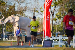 BIB: 
                            <button type="button" onclick="openModal(26189391)" class="btn btn-primary btn-sm float-right btn-popup" data-toggle="modal" data-target=".modal-high-quality">
                        <i class="fas fa-shopping-cart"></i> Add to Cart
                    </button>
                                            <button type="button" onclick="isThisMe(26189391, true)" class="btn btn-success btn-sm float-right btn-popup btn-isme hidden" data-toggle="tooltip" data-placement="bottom" title="นี่คือรูปของคุณใช่ไหม คลิกที่นี่เพื่อเอาเข้าอัลบั้ม">
                        <i class="fas fa-plus"></i> Add to album
                    </button>
                    <button type="button" onclick="isThisMe(26189391, false)" class="btn btn-warning btn-sm float-right btn-popup btn-isnotme hidden">
                        <i class="fas fa-ban"></i> Remove from album
                    </button>