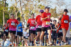 BIB: 
                            <button type="button" onclick="openModal(26188620)" class="btn btn-primary btn-sm float-right btn-popup" data-toggle="modal" data-target=".modal-high-quality">
                        <i class="fas fa-shopping-cart"></i> Add to Cart
                    </button>
                                            <button type="button" onclick="isThisMe(26188620, true)" class="btn btn-success btn-sm float-right btn-popup btn-isme hidden" data-toggle="tooltip" data-placement="bottom" title="นี่คือรูปของคุณใช่ไหม คลิกที่นี่เพื่อเอาเข้าอัลบั้ม">
                        <i class="fas fa-plus"></i> Add to album
                    </button>
                    <button type="button" onclick="isThisMe(26188620, false)" class="btn btn-warning btn-sm float-right btn-popup btn-isnotme hidden">
                        <i class="fas fa-ban"></i> Remove from album
                    </button>