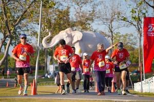 BIB: 
                            <button type="button" onclick="openModal(26187952)" class="btn btn-primary btn-sm float-right btn-popup" data-toggle="modal" data-target=".modal-high-quality">
                        <i class="fas fa-shopping-cart"></i> Add to Cart
                    </button>
                                            <button type="button" onclick="isThisMe(26187952, true)" class="btn btn-success btn-sm float-right btn-popup btn-isme hidden" data-toggle="tooltip" data-placement="bottom" title="นี่คือรูปของคุณใช่ไหม คลิกที่นี่เพื่อเอาเข้าอัลบั้ม">
                        <i class="fas fa-plus"></i> Add to album
                    </button>
                    <button type="button" onclick="isThisMe(26187952, false)" class="btn btn-warning btn-sm float-right btn-popup btn-isnotme hidden">
                        <i class="fas fa-ban"></i> Remove from album
                    </button>