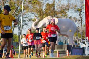 BIB: 
                            <button type="button" onclick="openModal(26188679)" class="btn btn-primary btn-sm float-right btn-popup" data-toggle="modal" data-target=".modal-high-quality">
                        <i class="fas fa-shopping-cart"></i> Add to Cart
                    </button>
                                            <button type="button" onclick="isThisMe(26188679, true)" class="btn btn-success btn-sm float-right btn-popup btn-isme hidden" data-toggle="tooltip" data-placement="bottom" title="นี่คือรูปของคุณใช่ไหม คลิกที่นี่เพื่อเอาเข้าอัลบั้ม">
                        <i class="fas fa-plus"></i> Add to album
                    </button>
                    <button type="button" onclick="isThisMe(26188679, false)" class="btn btn-warning btn-sm float-right btn-popup btn-isnotme hidden">
                        <i class="fas fa-ban"></i> Remove from album
                    </button>