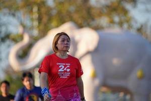 BIB: 
                            <button type="button" onclick="openModal(26188829)" class="btn btn-primary btn-sm float-right btn-popup" data-toggle="modal" data-target=".modal-high-quality">
                        <i class="fas fa-shopping-cart"></i> Add to Cart
                    </button>
                                            <button type="button" onclick="isThisMe(26188829, true)" class="btn btn-success btn-sm float-right btn-popup btn-isme hidden" data-toggle="tooltip" data-placement="bottom" title="นี่คือรูปของคุณใช่ไหม คลิกที่นี่เพื่อเอาเข้าอัลบั้ม">
                        <i class="fas fa-plus"></i> Add to album
                    </button>
                    <button type="button" onclick="isThisMe(26188829, false)" class="btn btn-warning btn-sm float-right btn-popup btn-isnotme hidden">
                        <i class="fas fa-ban"></i> Remove from album
                    </button>