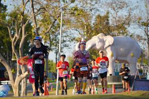 BIB: 
                            <button type="button" onclick="openModal(26188738)" class="btn btn-primary btn-sm float-right btn-popup" data-toggle="modal" data-target=".modal-high-quality">
                        <i class="fas fa-shopping-cart"></i> Add to Cart
                    </button>
                                            <button type="button" onclick="isThisMe(26188738, true)" class="btn btn-success btn-sm float-right btn-popup btn-isme hidden" data-toggle="tooltip" data-placement="bottom" title="นี่คือรูปของคุณใช่ไหม คลิกที่นี่เพื่อเอาเข้าอัลบั้ม">
                        <i class="fas fa-plus"></i> Add to album
                    </button>
                    <button type="button" onclick="isThisMe(26188738, false)" class="btn btn-warning btn-sm float-right btn-popup btn-isnotme hidden">
                        <i class="fas fa-ban"></i> Remove from album
                    </button>