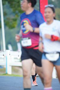 BIB: 
                            <button type="button" onclick="openModal(26192204)" class="btn btn-primary btn-sm float-right btn-popup" data-toggle="modal" data-target=".modal-high-quality">
                        <i class="fas fa-shopping-cart"></i> Add to Cart
                    </button>
                                            <button type="button" onclick="isThisMe(26192204, true)" class="btn btn-success btn-sm float-right btn-popup btn-isme hidden" data-toggle="tooltip" data-placement="bottom" title="นี่คือรูปของคุณใช่ไหม คลิกที่นี่เพื่อเอาเข้าอัลบั้ม">
                        <i class="fas fa-plus"></i> Add to album
                    </button>
                    <button type="button" onclick="isThisMe(26192204, false)" class="btn btn-warning btn-sm float-right btn-popup btn-isnotme hidden">
                        <i class="fas fa-ban"></i> Remove from album
                    </button>