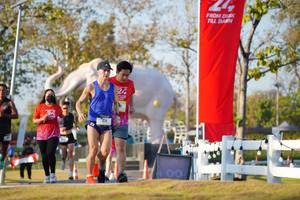 BIB: 
                            <button type="button" onclick="openModal(26188133)" class="btn btn-primary btn-sm float-right btn-popup" data-toggle="modal" data-target=".modal-high-quality">
                        <i class="fas fa-shopping-cart"></i> Add to Cart
                    </button>
                                            <button type="button" onclick="isThisMe(26188133, true)" class="btn btn-success btn-sm float-right btn-popup btn-isme hidden" data-toggle="tooltip" data-placement="bottom" title="นี่คือรูปของคุณใช่ไหม คลิกที่นี่เพื่อเอาเข้าอัลบั้ม">
                        <i class="fas fa-plus"></i> Add to album
                    </button>
                    <button type="button" onclick="isThisMe(26188133, false)" class="btn btn-warning btn-sm float-right btn-popup btn-isnotme hidden">
                        <i class="fas fa-ban"></i> Remove from album
                    </button>