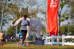 BIB: 
                            <button type="button" onclick="openModal(26188173)" class="btn btn-primary btn-sm float-right btn-popup" data-toggle="modal" data-target=".modal-high-quality">
                        <i class="fas fa-shopping-cart"></i> Add to Cart
                    </button>
                                            <button type="button" onclick="isThisMe(26188173, true)" class="btn btn-success btn-sm float-right btn-popup btn-isme hidden" data-toggle="tooltip" data-placement="bottom" title="นี่คือรูปของคุณใช่ไหม คลิกที่นี่เพื่อเอาเข้าอัลบั้ม">
                        <i class="fas fa-plus"></i> Add to album
                    </button>
                    <button type="button" onclick="isThisMe(26188173, false)" class="btn btn-warning btn-sm float-right btn-popup btn-isnotme hidden">
                        <i class="fas fa-ban"></i> Remove from album
                    </button>