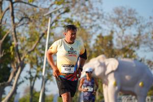 BIB: 
                            <button type="button" onclick="openModal(26188066)" class="btn btn-primary btn-sm float-right btn-popup" data-toggle="modal" data-target=".modal-high-quality">
                        <i class="fas fa-shopping-cart"></i> Add to Cart
                    </button>
                                            <button type="button" onclick="isThisMe(26188066, true)" class="btn btn-success btn-sm float-right btn-popup btn-isme hidden" data-toggle="tooltip" data-placement="bottom" title="นี่คือรูปของคุณใช่ไหม คลิกที่นี่เพื่อเอาเข้าอัลบั้ม">
                        <i class="fas fa-plus"></i> Add to album
                    </button>
                    <button type="button" onclick="isThisMe(26188066, false)" class="btn btn-warning btn-sm float-right btn-popup btn-isnotme hidden">
                        <i class="fas fa-ban"></i> Remove from album
                    </button>