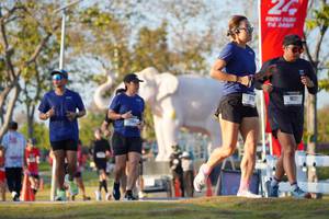 BIB: 
                            <button type="button" onclick="openModal(26188574)" class="btn btn-primary btn-sm float-right btn-popup" data-toggle="modal" data-target=".modal-high-quality">
                        <i class="fas fa-shopping-cart"></i> Add to Cart
                    </button>
                                            <button type="button" onclick="isThisMe(26188574, true)" class="btn btn-success btn-sm float-right btn-popup btn-isme hidden" data-toggle="tooltip" data-placement="bottom" title="นี่คือรูปของคุณใช่ไหม คลิกที่นี่เพื่อเอาเข้าอัลบั้ม">
                        <i class="fas fa-plus"></i> Add to album
                    </button>
                    <button type="button" onclick="isThisMe(26188574, false)" class="btn btn-warning btn-sm float-right btn-popup btn-isnotme hidden">
                        <i class="fas fa-ban"></i> Remove from album
                    </button>