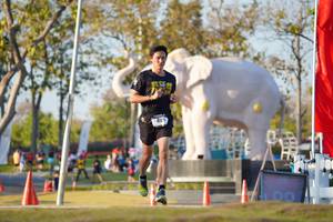 BIB: 
                            <button type="button" onclick="openModal(26188290)" class="btn btn-primary btn-sm float-right btn-popup" data-toggle="modal" data-target=".modal-high-quality">
                        <i class="fas fa-shopping-cart"></i> Add to Cart
                    </button>
                                            <button type="button" onclick="isThisMe(26188290, true)" class="btn btn-success btn-sm float-right btn-popup btn-isme hidden" data-toggle="tooltip" data-placement="bottom" title="นี่คือรูปของคุณใช่ไหม คลิกที่นี่เพื่อเอาเข้าอัลบั้ม">
                        <i class="fas fa-plus"></i> Add to album
                    </button>
                    <button type="button" onclick="isThisMe(26188290, false)" class="btn btn-warning btn-sm float-right btn-popup btn-isnotme hidden">
                        <i class="fas fa-ban"></i> Remove from album
                    </button>