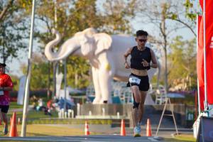 BIB: 
                            <button type="button" onclick="openModal(26189418)" class="btn btn-primary btn-sm float-right btn-popup" data-toggle="modal" data-target=".modal-high-quality">
                        <i class="fas fa-shopping-cart"></i> Add to Cart
                    </button>
                                            <button type="button" onclick="isThisMe(26189418, true)" class="btn btn-success btn-sm float-right btn-popup btn-isme hidden" data-toggle="tooltip" data-placement="bottom" title="นี่คือรูปของคุณใช่ไหม คลิกที่นี่เพื่อเอาเข้าอัลบั้ม">
                        <i class="fas fa-plus"></i> Add to album
                    </button>
                    <button type="button" onclick="isThisMe(26189418, false)" class="btn btn-warning btn-sm float-right btn-popup btn-isnotme hidden">
                        <i class="fas fa-ban"></i> Remove from album
                    </button>