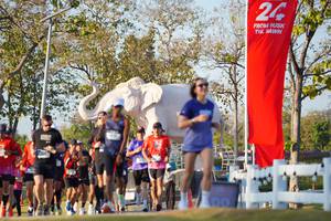 BIB: 
                            <button type="button" onclick="openModal(26188595)" class="btn btn-primary btn-sm float-right btn-popup" data-toggle="modal" data-target=".modal-high-quality">
                        <i class="fas fa-shopping-cart"></i> Add to Cart
                    </button>
                                            <button type="button" onclick="isThisMe(26188595, true)" class="btn btn-success btn-sm float-right btn-popup btn-isme hidden" data-toggle="tooltip" data-placement="bottom" title="นี่คือรูปของคุณใช่ไหม คลิกที่นี่เพื่อเอาเข้าอัลบั้ม">
                        <i class="fas fa-plus"></i> Add to album
                    </button>
                    <button type="button" onclick="isThisMe(26188595, false)" class="btn btn-warning btn-sm float-right btn-popup btn-isnotme hidden">
                        <i class="fas fa-ban"></i> Remove from album
                    </button>