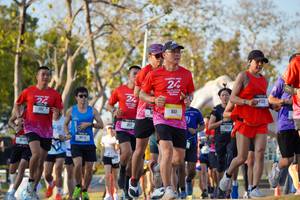 BIB: 
                            <button type="button" onclick="openModal(26188618)" class="btn btn-primary btn-sm float-right btn-popup" data-toggle="modal" data-target=".modal-high-quality">
                        <i class="fas fa-shopping-cart"></i> Add to Cart
                    </button>
                                            <button type="button" onclick="isThisMe(26188618, true)" class="btn btn-success btn-sm float-right btn-popup btn-isme hidden" data-toggle="tooltip" data-placement="bottom" title="นี่คือรูปของคุณใช่ไหม คลิกที่นี่เพื่อเอาเข้าอัลบั้ม">
                        <i class="fas fa-plus"></i> Add to album
                    </button>
                    <button type="button" onclick="isThisMe(26188618, false)" class="btn btn-warning btn-sm float-right btn-popup btn-isnotme hidden">
                        <i class="fas fa-ban"></i> Remove from album
                    </button>