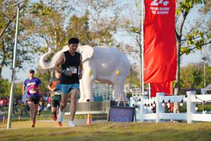 BIB: 
                            <button type="button" onclick="openModal(26188245)" class="btn btn-primary btn-sm float-right btn-popup" data-toggle="modal" data-target=".modal-high-quality">
                        <i class="fas fa-shopping-cart"></i> Add to Cart
                    </button>
                                            <button type="button" onclick="isThisMe(26188245, true)" class="btn btn-success btn-sm float-right btn-popup btn-isme hidden" data-toggle="tooltip" data-placement="bottom" title="นี่คือรูปของคุณใช่ไหม คลิกที่นี่เพื่อเอาเข้าอัลบั้ม">
                        <i class="fas fa-plus"></i> Add to album
                    </button>
                    <button type="button" onclick="isThisMe(26188245, false)" class="btn btn-warning btn-sm float-right btn-popup btn-isnotme hidden">
                        <i class="fas fa-ban"></i> Remove from album
                    </button>